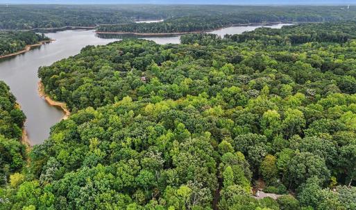 Photo #18 of Oak, Raleigh, NC 0.7 acres