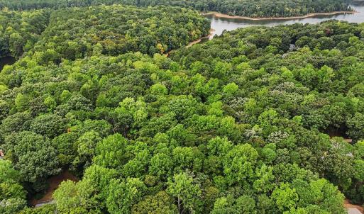 Photo #14 of Oak, Raleigh, NC 0.7 acres