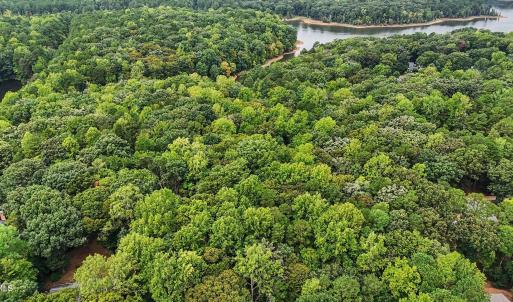 Photo #5 of Oak, Raleigh, NC 0.7 acres