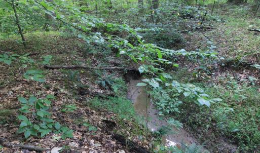 Photo #22 of 211 Moore, Mocksville, NC 12.3 acres
