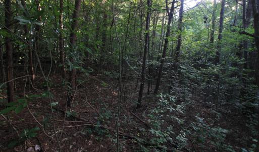 Photo #23 of 211 Moore, Mocksville, NC 12.3 acres
