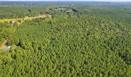 Photo #9 of 7192 Nc 87, Pittsboro, NC 25.6 acres