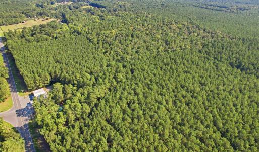 Photo #8 of 7192 Nc 87, Pittsboro, NC 25.6 acres