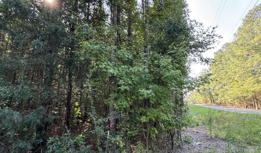 Photo #15 of 7192 Nc 87, Pittsboro, NC 25.6 acres