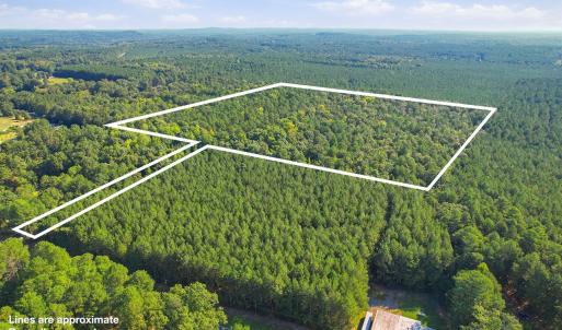 Photo #2 of 7192 Nc 87, Pittsboro, NC 25.6 acres