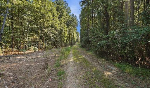 Photo #13 of 7192 Nc 87, Pittsboro, NC 25.6 acres