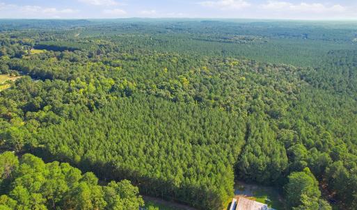 Photo #10 of 7192 Nc 87, Pittsboro, NC 25.6 acres