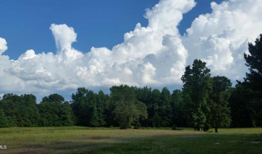 Photo #4 of Pleasants, Wendell, NC 10.6 acres