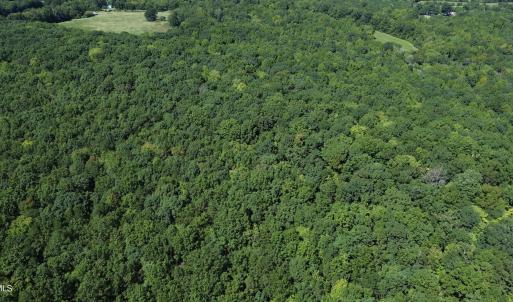Photo #11 of Ralph Moore, Bear Creek, NC 25.0 acres
