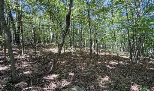 Photo #8 of Ralph Moore, Bear Creek, NC 25.0 acres