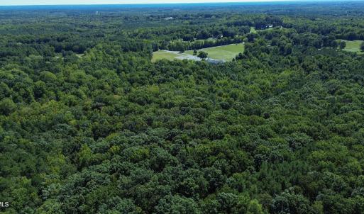 Photo #12 of Ralph Moore, Bear Creek, NC 25.0 acres