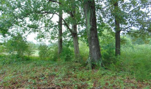 Photo #19 of County Home Rd., Yanceyville, NC 29.8 acres