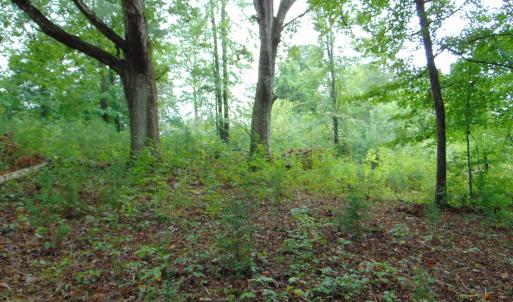 Photo #17 of County Home Rd., Yanceyville, NC 29.8 acres