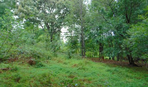 Photo #18 of County Home Rd., Yanceyville, NC 29.8 acres