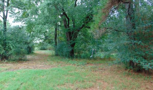 Photo #15 of County Home Rd., Yanceyville, NC 29.8 acres