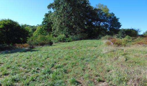 Photo #27 of County Home Rd., Yanceyville, NC 29.8 acres
