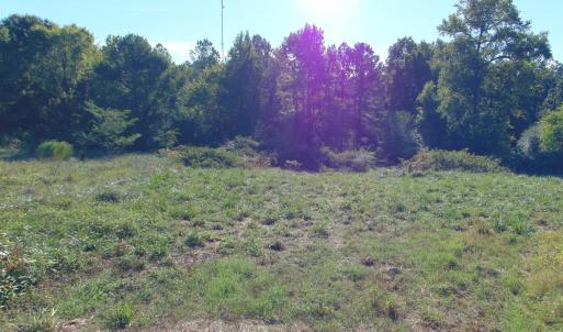 Photo #26 of County Home Rd., Yanceyville, NC 29.8 acres