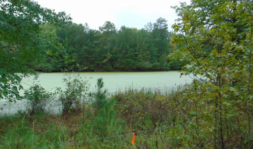 Photo #21 of County Home Rd., Yanceyville, NC 29.8 acres