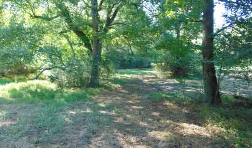Photo #28 of County Home Rd., Yanceyville, NC 29.8 acres