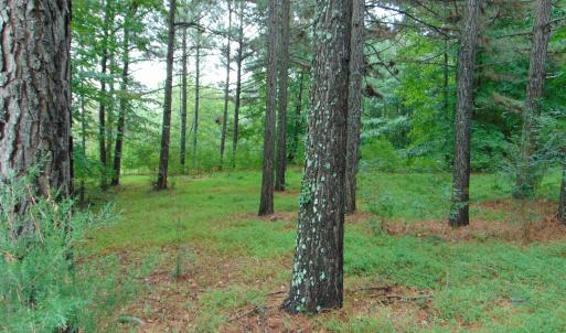 Photo #16 of County Home Rd., Yanceyville, NC 29.8 acres