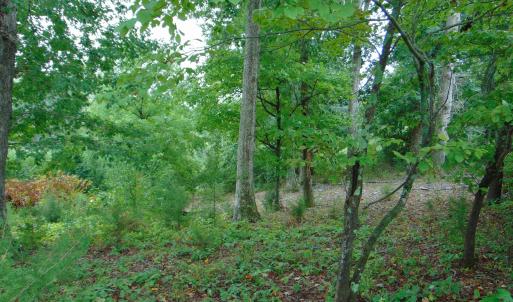 Photo #20 of County Home Rd., Yanceyville, NC 29.8 acres