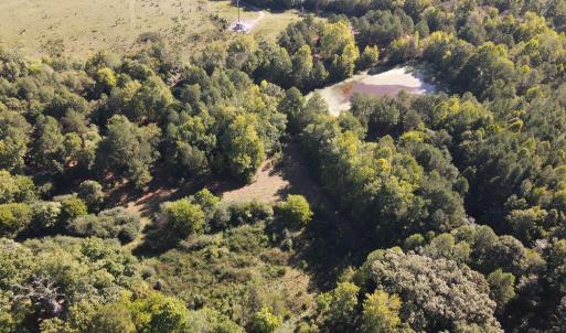 Photo #4 of County Home Rd., Yanceyville, NC 29.8 acres