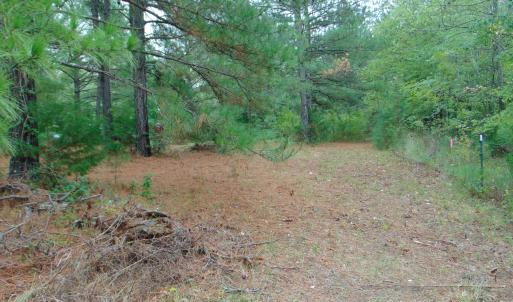 Photo #22 of County Home Rd., Yanceyville, NC 29.8 acres