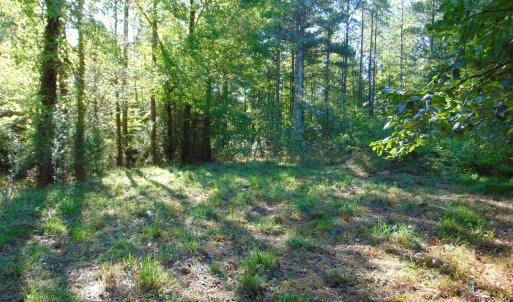 Photo #29 of County Home Rd., Yanceyville, NC 29.8 acres