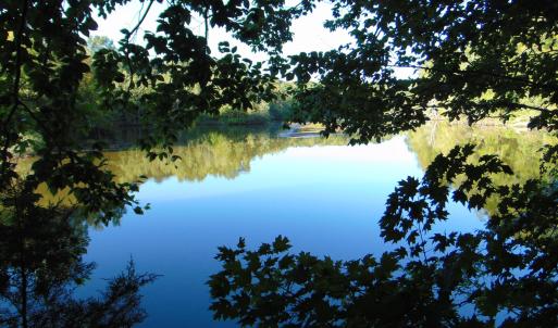 Photo #24 of Allen Jarrett, Mebane, NC 10.0 acres