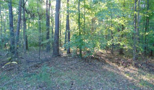 Photo #16 of Allen Jarrett, Mebane, NC 10.0 acres