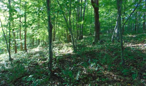Photo #22 of Allen Jarrett, Mebane, NC 10.0 acres