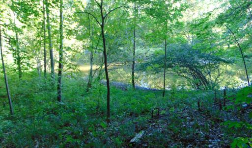 Photo #20 of Allen Jarrett, Mebane, NC 10.0 acres