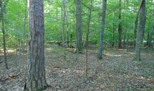 Photo #18 of Allen Jarrett, Mebane, NC 10.0 acres