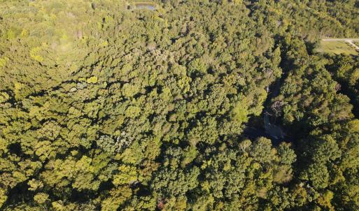 Photo #9 of Allen Jarrett, Mebane, NC 10.0 acres