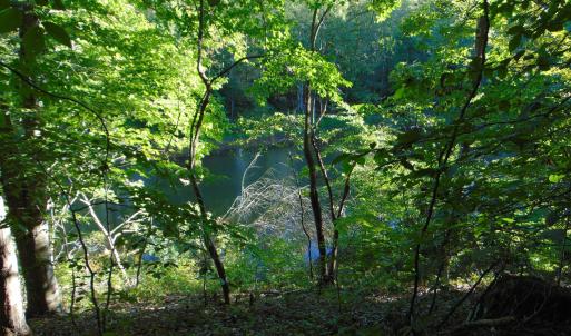 Photo #21 of Allen Jarrett, Mebane, NC 10.0 acres