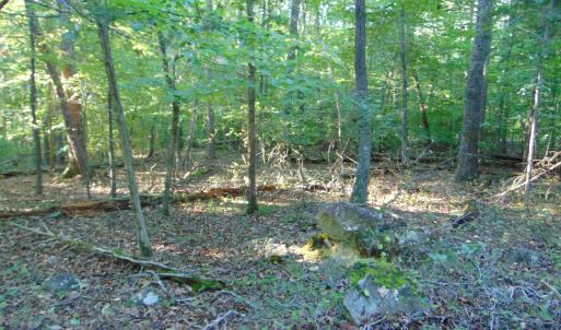 Photo #17 of Allen Jarrett, Mebane, NC 10.0 acres