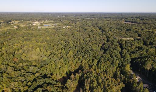 Photo #6 of Allen Jarrett, Mebane, NC 10.0 acres