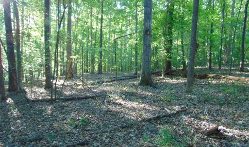 Photo #19 of Allen Jarrett, Mebane, NC 10.0 acres