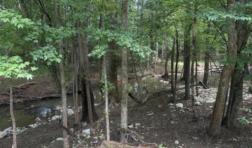 Photo #3 of Lot 1 Schley, Hillsborough, NC 5.1 acres