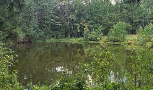 Photo #30 of Flat Rock Church, Louisburg, NC 33.6 acres