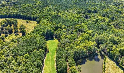 Photo #6 of Flat Rock Church, Louisburg, NC 33.6 acres