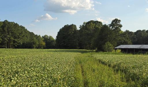 Photo #29 of Flat Rock Church, Louisburg, NC 33.6 acres