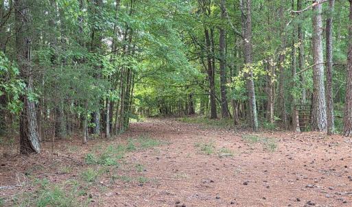 Photo #31 of Flat Rock Church, Louisburg, NC 33.6 acres
