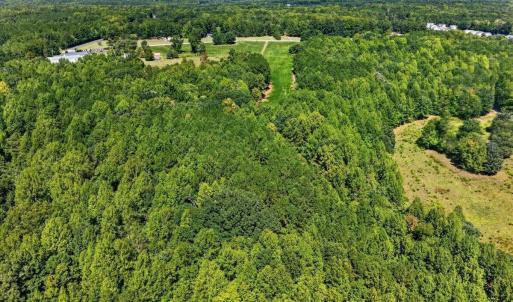 Photo #15 of Flat Rock Church, Louisburg, NC 33.6 acres