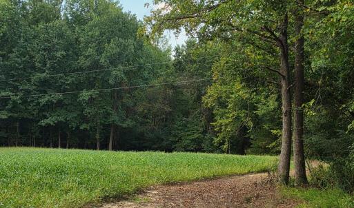 Photo #33 of Flat Rock Church, Louisburg, NC 33.6 acres