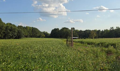 Photo #29 of Flat Rock Church, Louisburg, NC 33.6 acres
