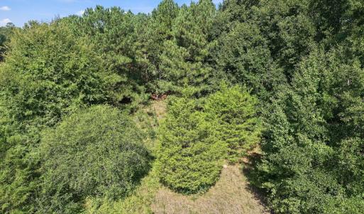 Photo #17 of 3230 Southall, Raleigh, NC 1.0 acres