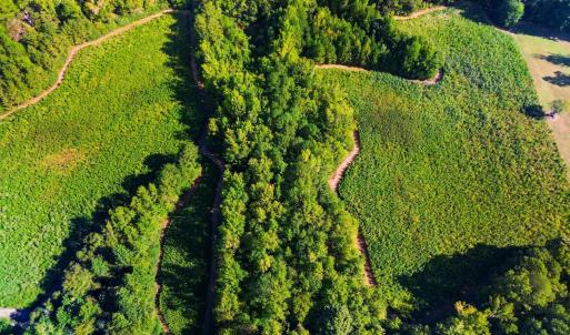 Photo #2 of 460 Brantleytown, Zebulon, NC 35.9 acres