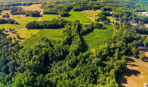 Photo #5 of 460 Brantleytown, Zebulon, NC 35.9 acres