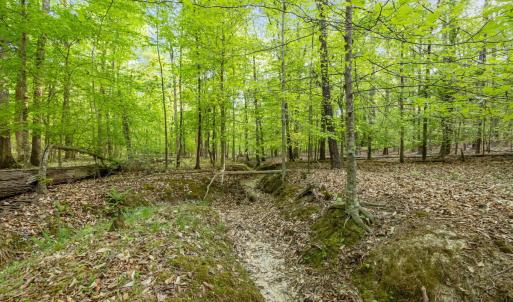 Photo #6 of 2a Union Grove Church, Chapel Hill, NC 5.0 acres